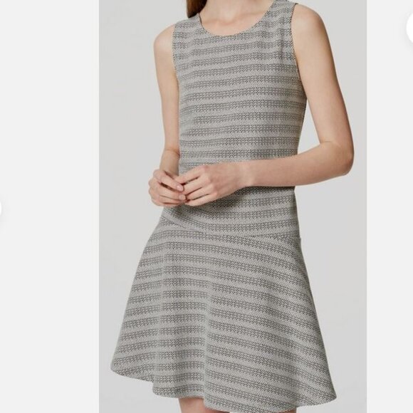 NWT Cotton-Blend Loft Black White Dress, sz Large - Picture 3 of 13